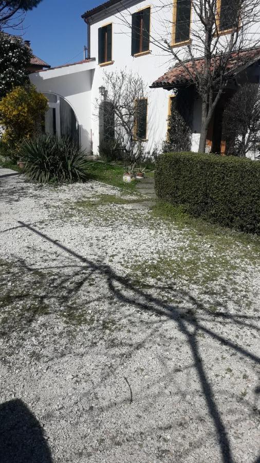 Ground Floor,Top Level Πάδοβα Εξωτερικό φωτογραφία